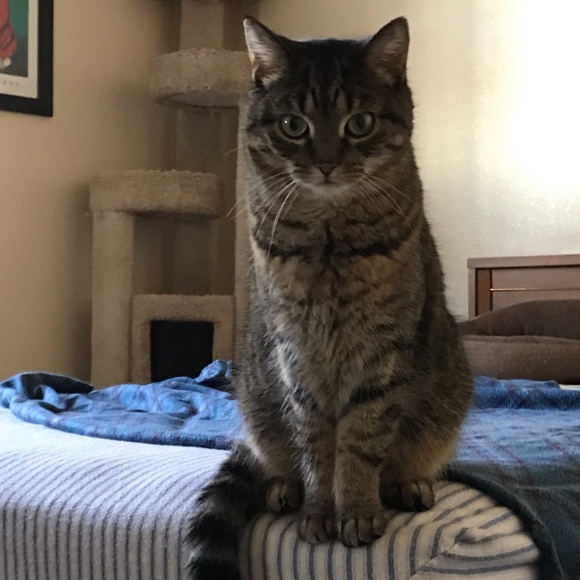 Meet your Posher, Carolyn - Picture 7 of 13